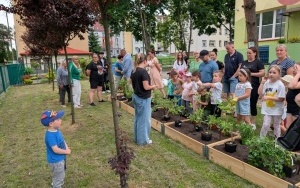 Kwiatowy EKOwarzywnik  (8)