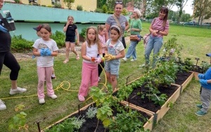 Kwiatowy EKOwarzywnik  (11)