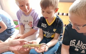 Spotkanie z gadami - warsztaty (7)