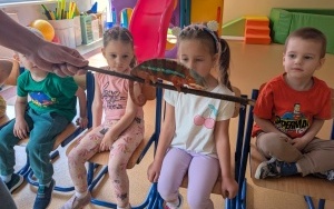 Spotkanie z gadami - warsztaty (4)