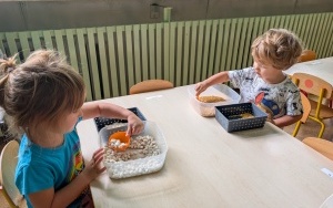 Podsumowanie programu "Sprawne rączki" w grupie 3, 4-latków (1)