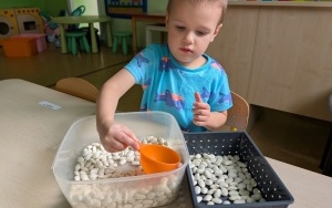 Podsumowanie programu "Sprawne rączki" w grupie 3, 4-latków (4)