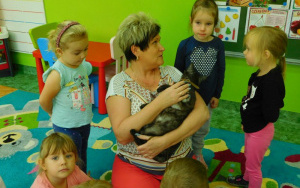 Spotkanie dzieci z kotką Anitką