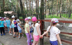 Wycieczka do Parku Miejskiego i Mini Zoo w Kazimierzu Górniczym - grupa 0 