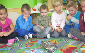 5-latki B i żółw