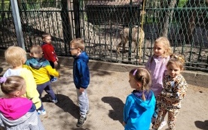 Dzień Dziecka w Kazimierzu Górniczym - grupa 4-latków (3)