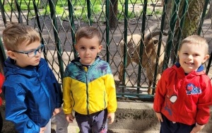 Dzień Dziecka w Kazimierzu Górniczym - grupa 4-latków (1)