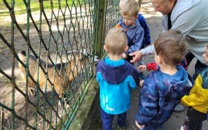 Dzień Dziecka w Kazimierzu Górniczym - grupa 4-latków (4)