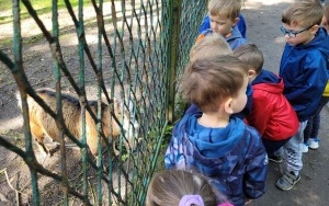 Dzień Dziecka w Kazimierzu Górniczym - grupa 4-latków (5)