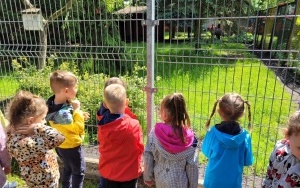 Dzień Dziecka w Kazimierzu Górniczym - grupa 4-latków (2)