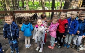 Dzień Dziecka w Kazimierzu Górniczym - grupa 4-latków (10)