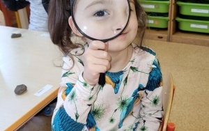 "Czy muchy noszą okulary?" - zajęcia Małego Naukowca (10)