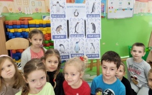 Światowy Dzień Wiedzy o Pingwinach (1)