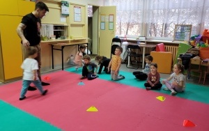 Zajęcia judo w naszym przedszkolu (4)