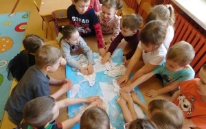 Arktyka czy Antarktyda? - zajęcia w grupie 5-latków  (5)