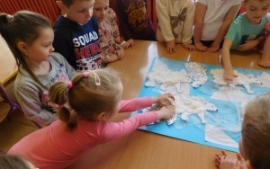Arktyka czy Antarktyda? - zajęcia w grupie 5-latków  (7)