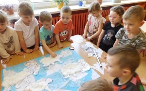 Arktyka czy Antarktyda? - zajęcia w grupie 5-latków  (8)