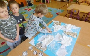 Arktyka czy Antarktyda? - zajęcia w grupie 5-latków  (10)