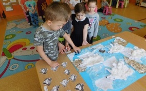 Arktyka czy Antarktyda? - zajęcia w grupie 5-latków  (1)