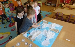 Arktyka czy Antarktyda? - zajęcia w grupie 5-latków  (2)