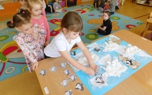 Arktyka czy Antarktyda? - zajęcia w grupie 5-latków  (5)