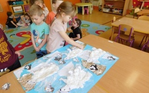Arktyka czy Antarktyda? - zajęcia w grupie 5-latków  (7)