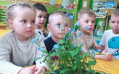 Dzień Polskiej Niezapominajki - grupa 3-latków (5)