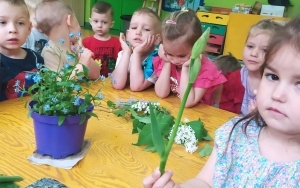 Dzień Polskiej Niezapominajki - grupa 3-latków (8)