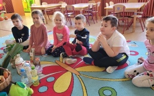 Podsumowanie "Programu wczesnej profilaktyki nadwagi i otyłości wśród dzieci zamieszkujących województwo śląskie w wieku 5-6 lat uczęszczających do przedszkola" (4)