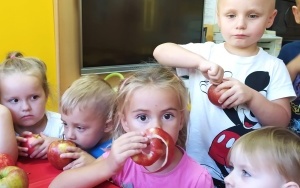 Dzień Jabłka - gr. 3 i 4-latków (1)