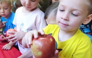 Dzień Jabłka - gr. 3 i 4-latków (6)