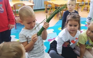 Poznajemy warzywa - gr. 4-latków (3)