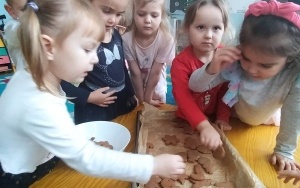 Pieczemy świąteczne pierniczki - grupa 4-latków (3)