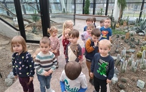 Wycieczka do Egzotarium w Sosnowcu - gr. 3 i 4-latków (4)