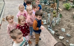 Wycieczka do Egzotarium w Sosnowcu - gr. 3 i 4-latków (6)