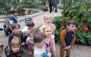 Wycieczka do Egzotarium w Sosnowcu - gr. 3 i 4-latków (10)