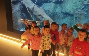 Wycieczka do Egzotarium w Sosnowcu - gr. 3 i 4-latków (15)